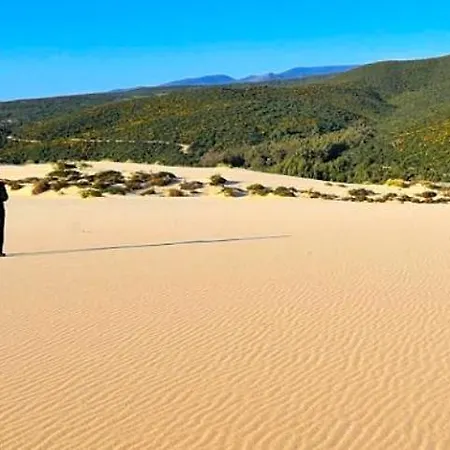 Maestrale 3* 阿勃丝