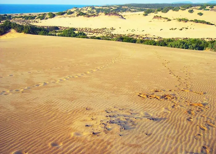 Maestrale Nocleg ze śniadaniem 3*