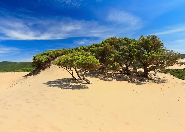 Maestrale Nocleg ze śniadaniem